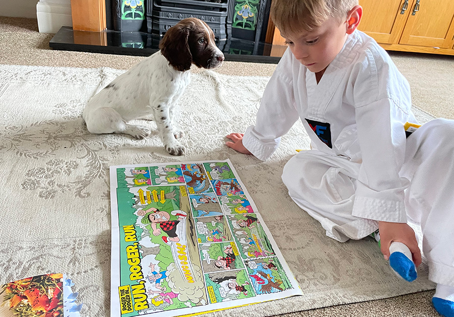 A child reading a Beano comic with a dog joining in the fun too.